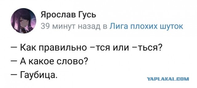 Парад орфографических монстров: русскому языку не нужны «огурцИ» и «парашУты»