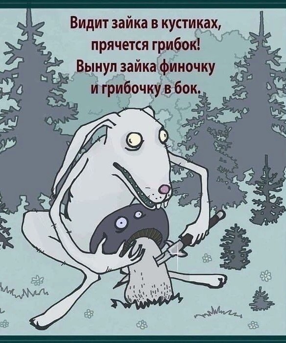 Житель Селятино в походе за грибами получил ножевое ранение