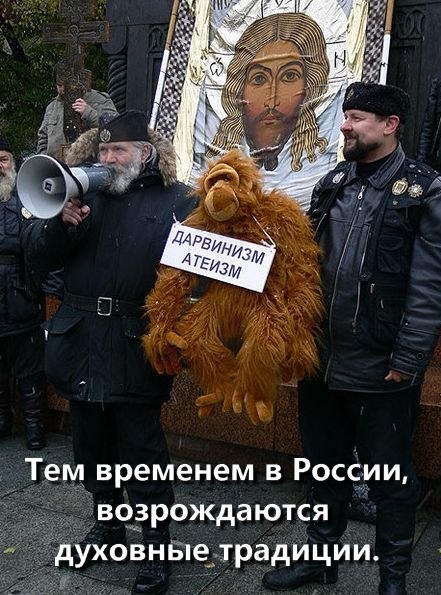 Пойди и вырежи