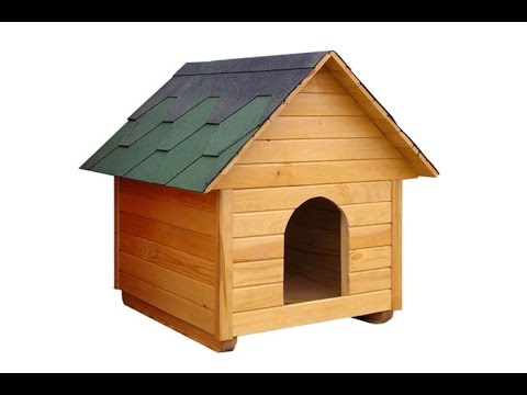 Каспер\Сиськи