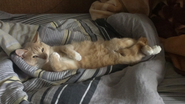 Совпало же? В котовторник