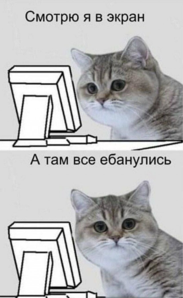 Немного картинок для настроения - 151