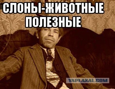 Правильное мнение: Отличие баб от женщин