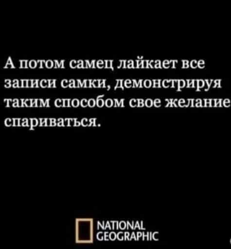 Стыренные картинки