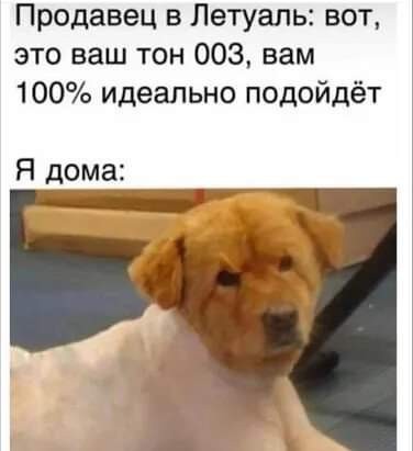 Картинки от Scodero 7