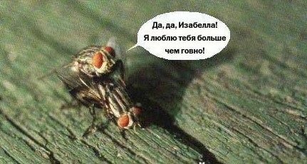 Так себе картинки 20.10.23