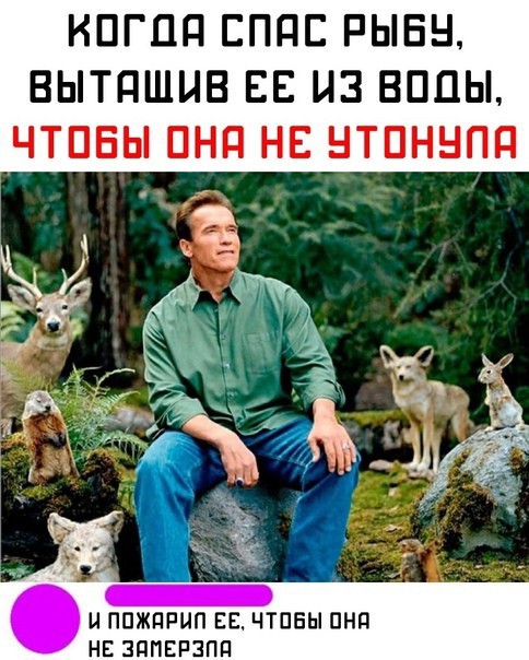 Баяны разной степени давности.