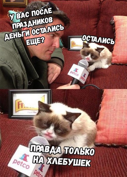 Весёлый полтишок 02.01.24