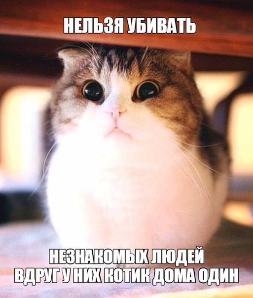 Улыбательные картинки для настроения
