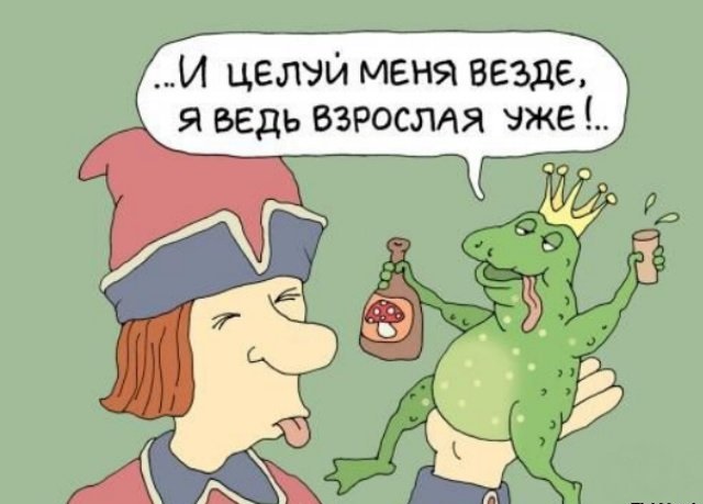 В Петербурге ищут волонтеров для помощи 15 тысячам жаб. Их нужно будет переносить через дорогу