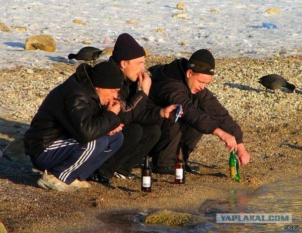 Нелёгкая жизнь карпуса