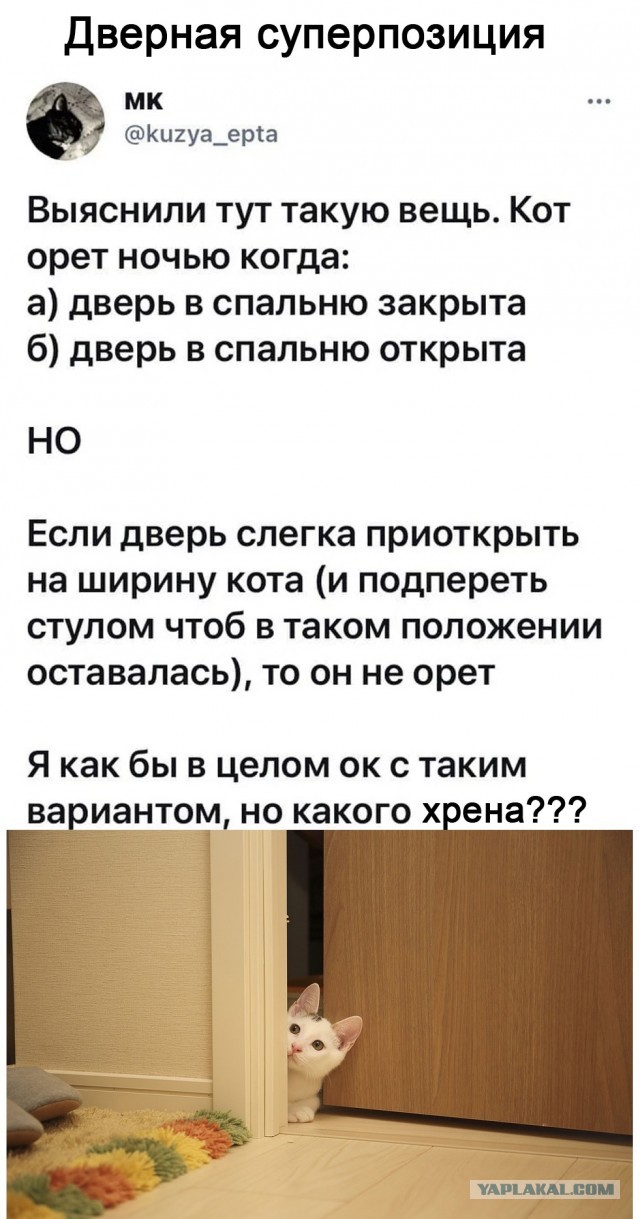 Байаны