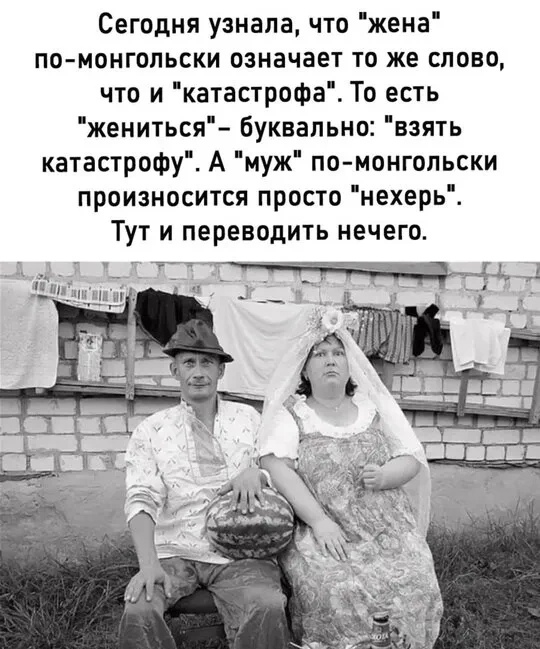 Так себе картинки 20.07.24