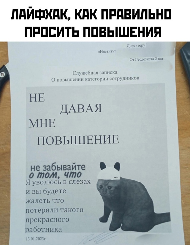 Весёлый полтишок 26.07.24