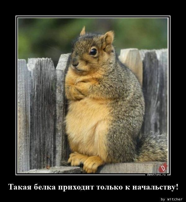 Осенние бояны