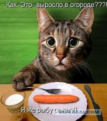 Воплощение зла