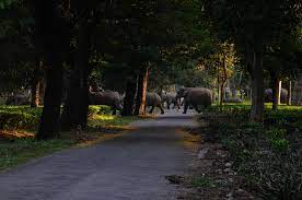 Бутан, таинственный Бутан