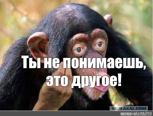 Генерал Соболев заявил, что ослы на передовой — это нормально