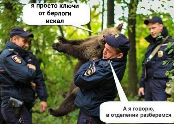 Немножко случайных картинок