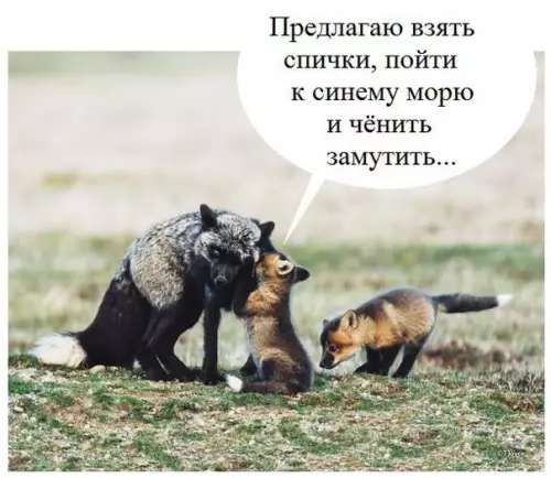 Страдальцам от Корнея Ивановича