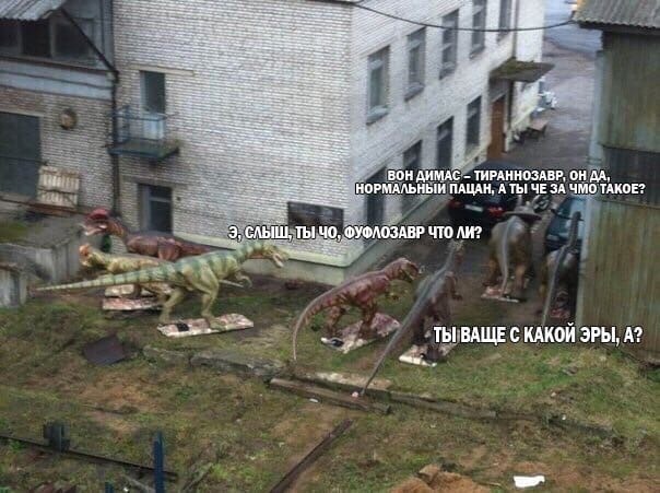 Тушенку будешь?