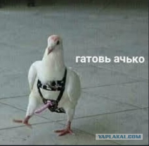 Зумеры не знают что это
