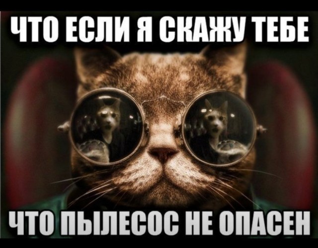 К котовторнику: подборка картинок-баянов с котиками и про котиков. Выпуск 9
