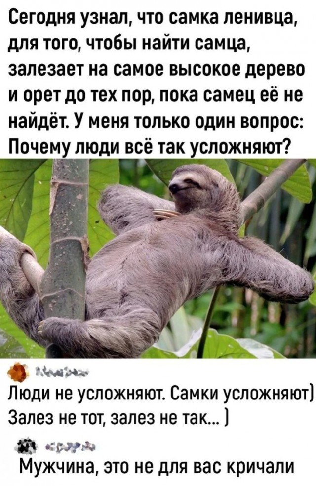 Завалялось тут случайно немного забавных картинок