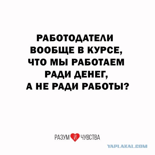 Веселое настроение в картинках (28.09.2025)