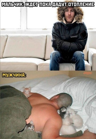К котовторнику: подборка картинок-баянов с котиками и про котиков. Выпуск 23.