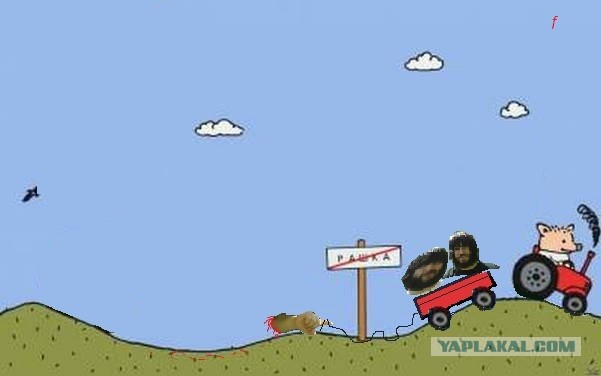 События в Пугачеве