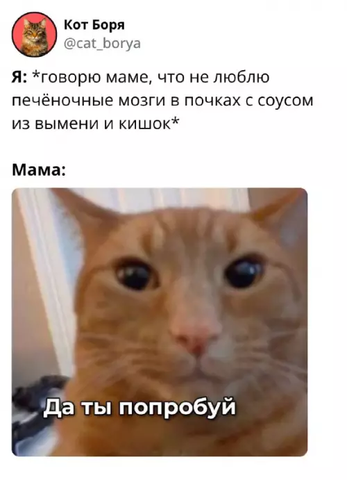 Так себе картинки 22.02.26