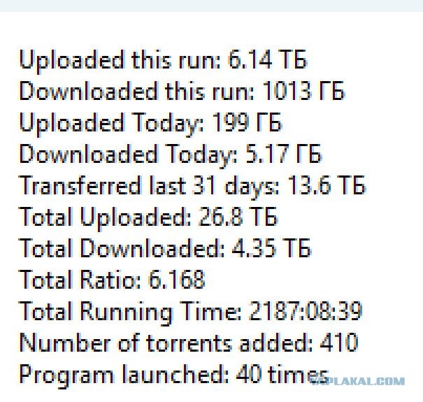 Россияне массово скупают MP3-плееры из-за ограничений и цензуры на музыкальных стримингах