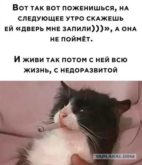 Картиночки, баянчики 21 марта