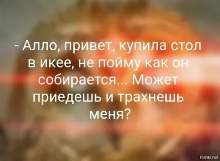 Лицо гуманизма