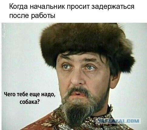 Так себе картинки 25.09.26