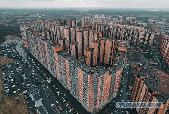 Киборги они заполонили всю планету