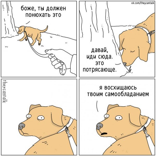 Картинки для деградации 305 (разной степени свежести)