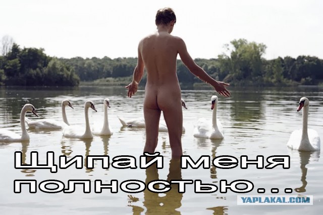 Придумайте название :)