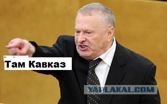 Владимир Вольфович негодует
