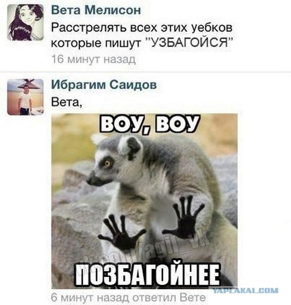 Смешные комментарии из социальных сетей