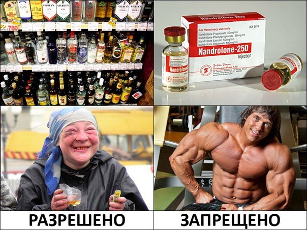 Спорт - выбор сильных!