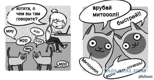 Забавности в стиле по-тяжелее