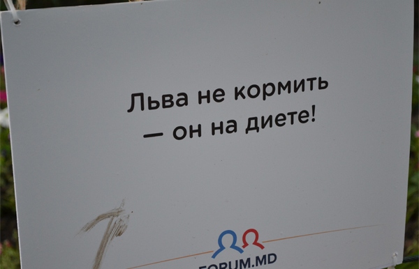 Позитив из зоопарка