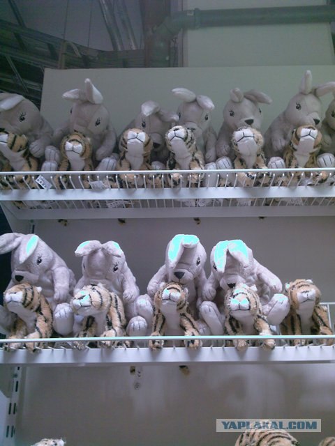 6 фоток с карты памяти