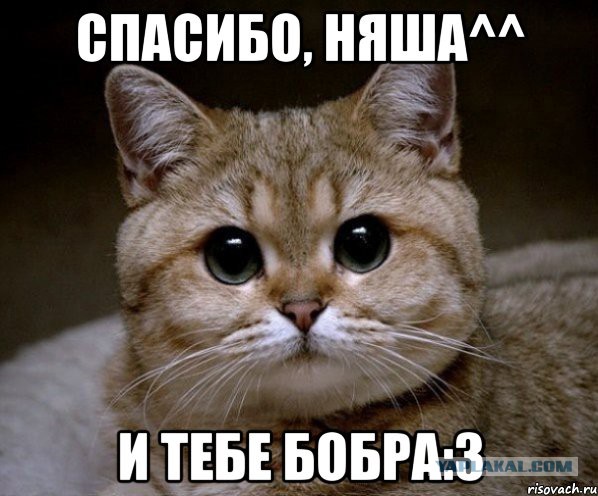 Добряки, плюсующие всех подряд