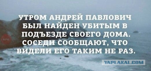 Подборка веселых картинок