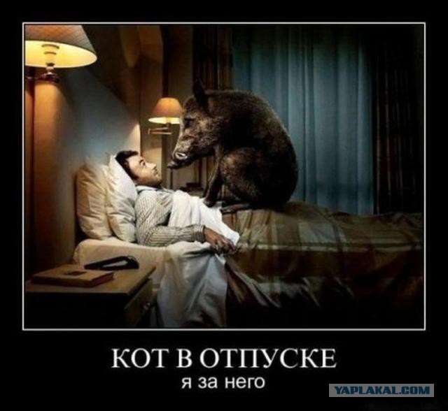 Смешные картинки