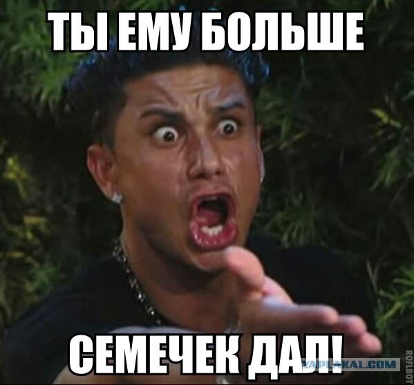 Польша обиделась на Францию