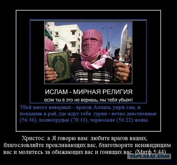 Мысли под никабом